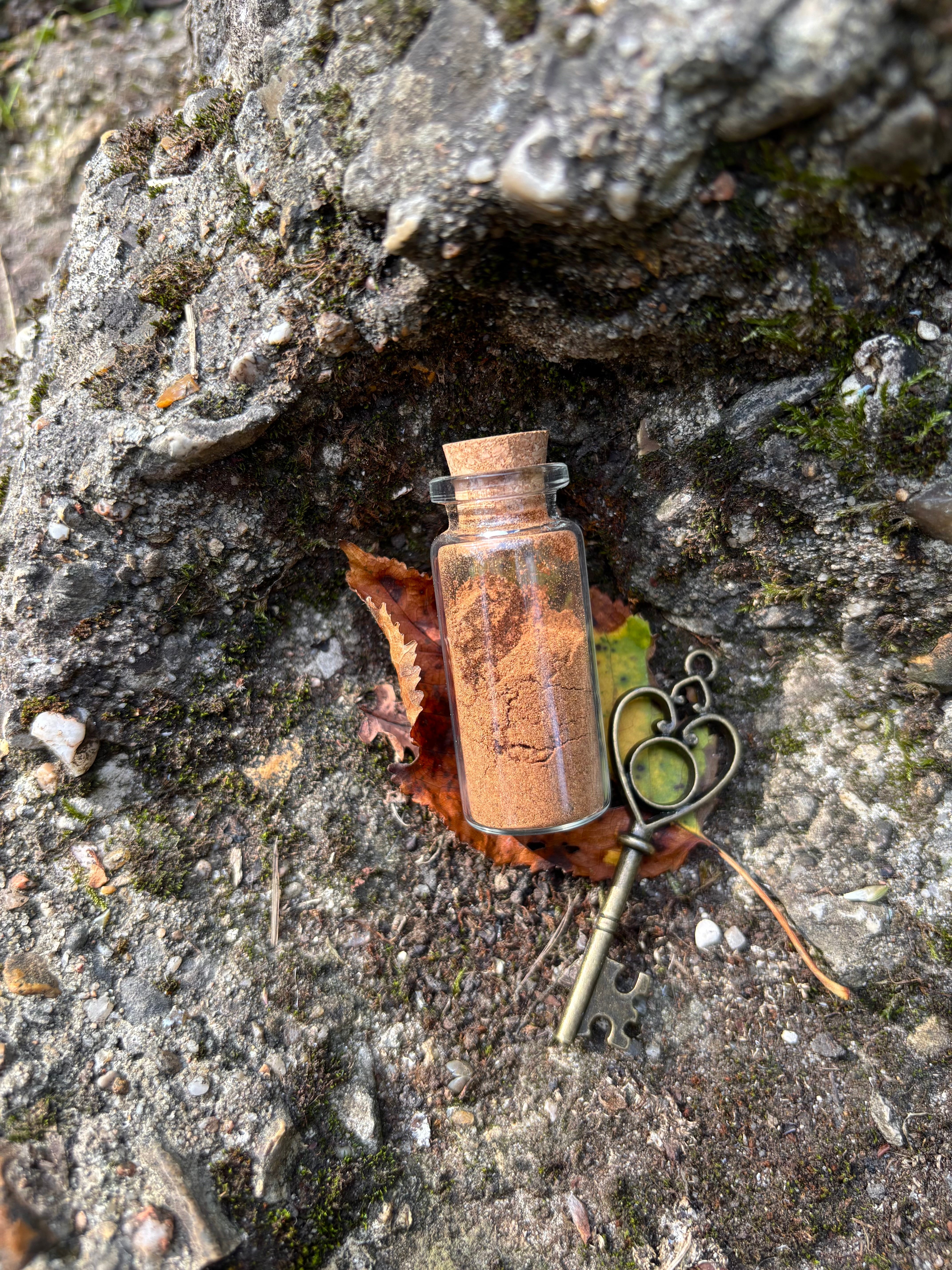 Pumpkin Spice Herbal Tea, Health Benefits & Autumn Witchcraft