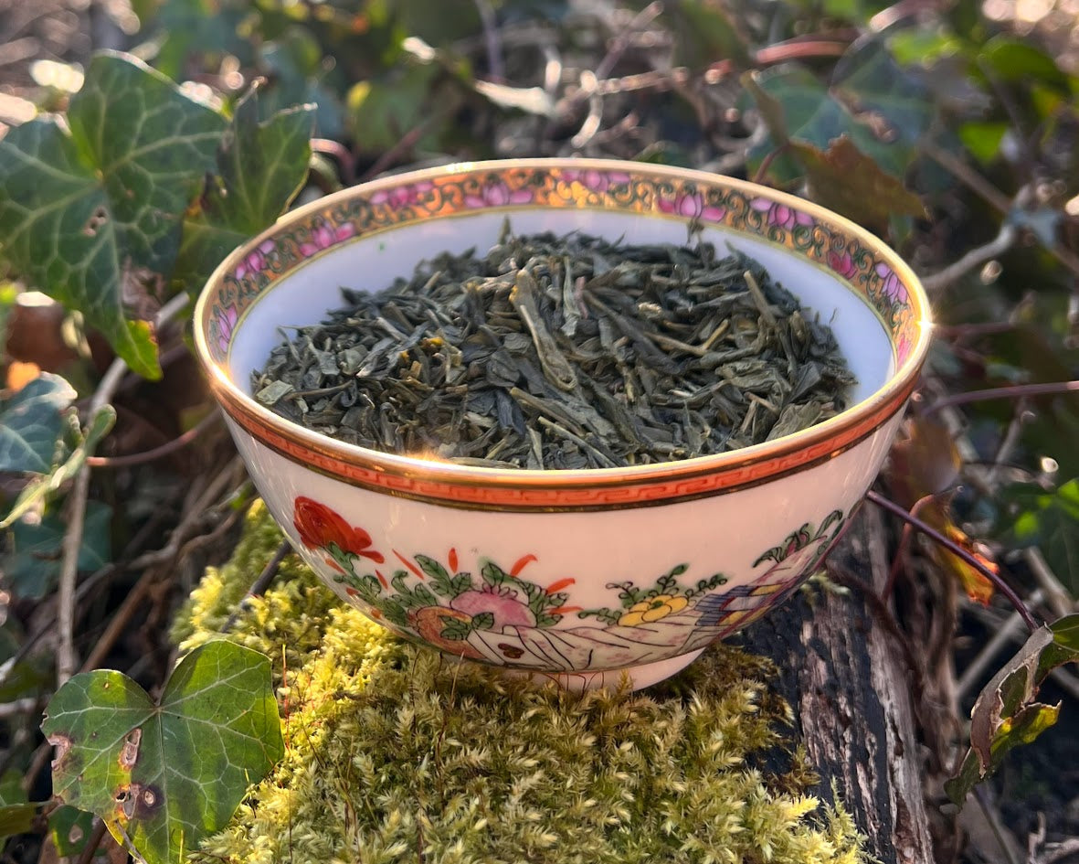 Sencha & Dawn's light: A Green Tea Ritual for Focus & Renewal