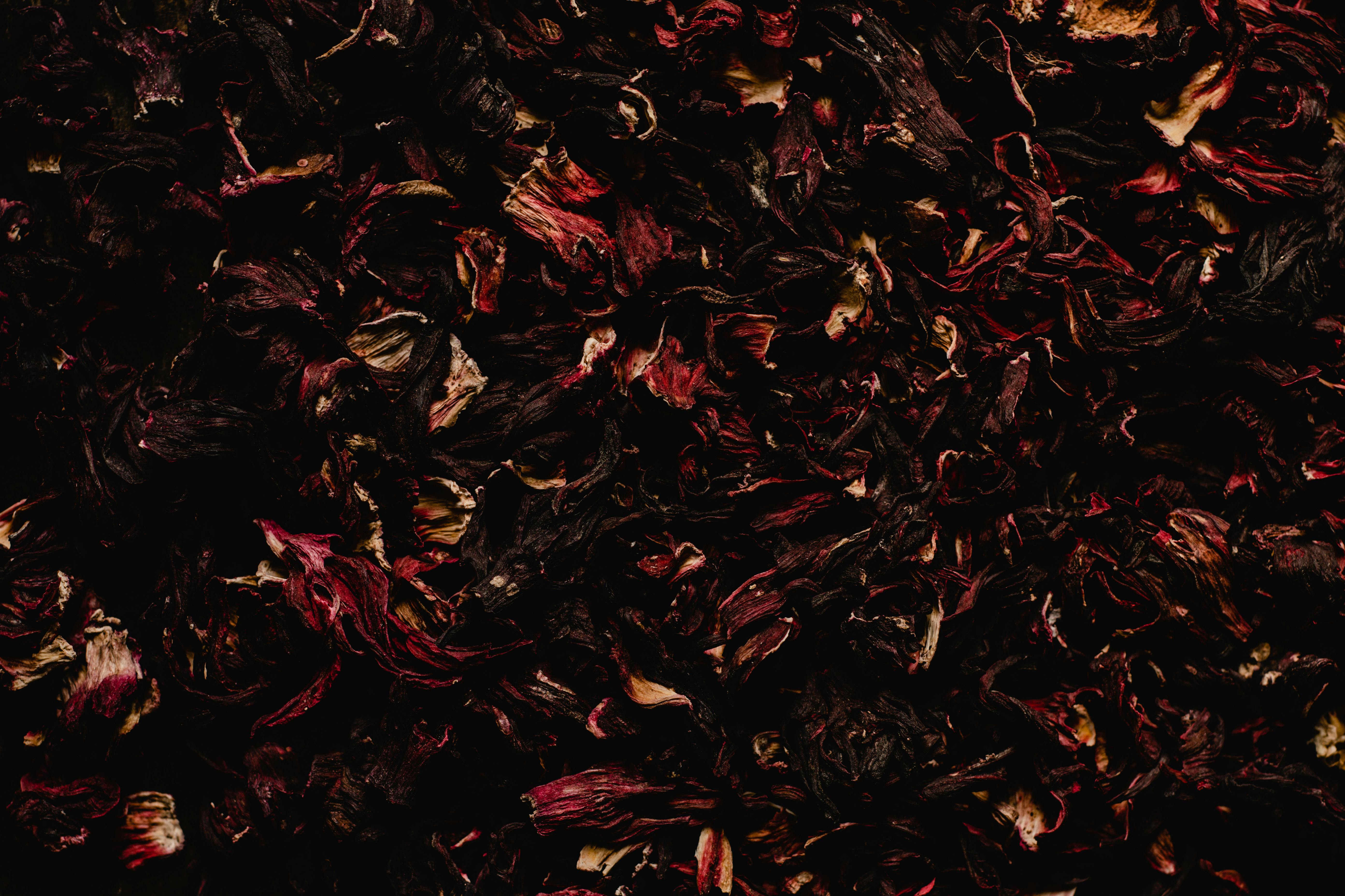 The Benefits of Hibiscus Tea: A Potion of Vitality and Fire