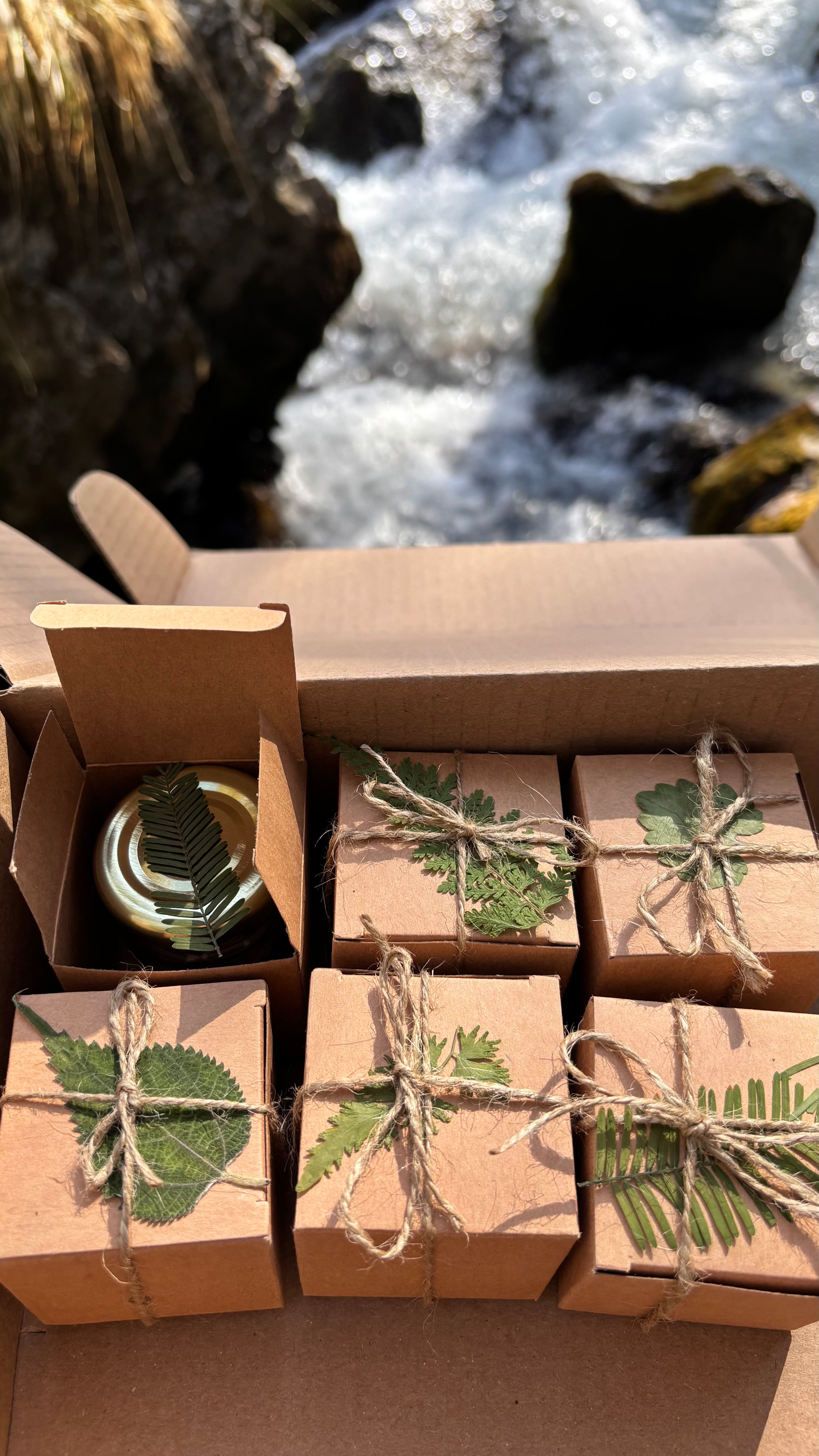 Faerie Good Tea - Sample Box