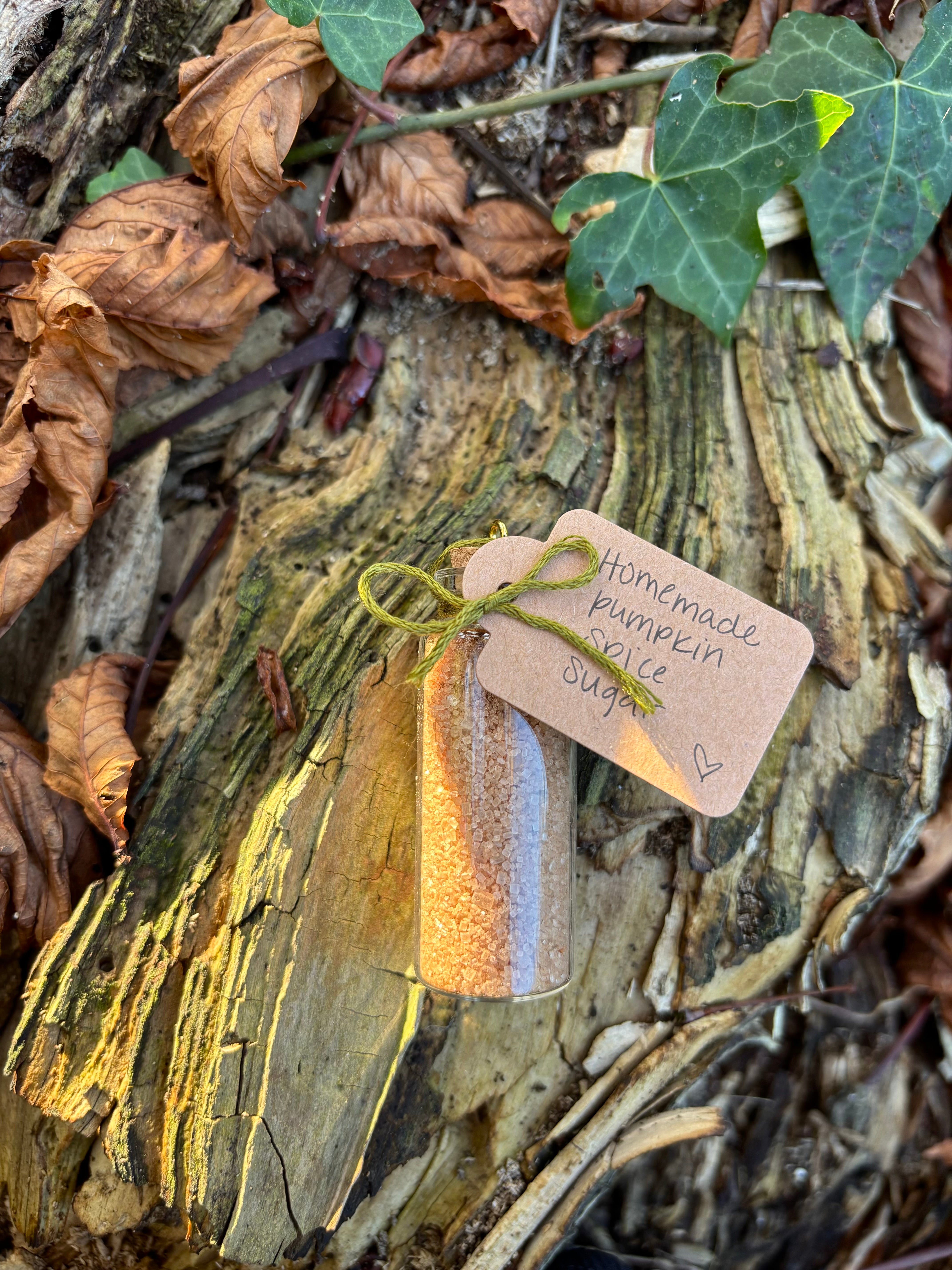 Coffret de Infusion, Sucre et Épices d'Octobre - Spiced Pumpkin Spell