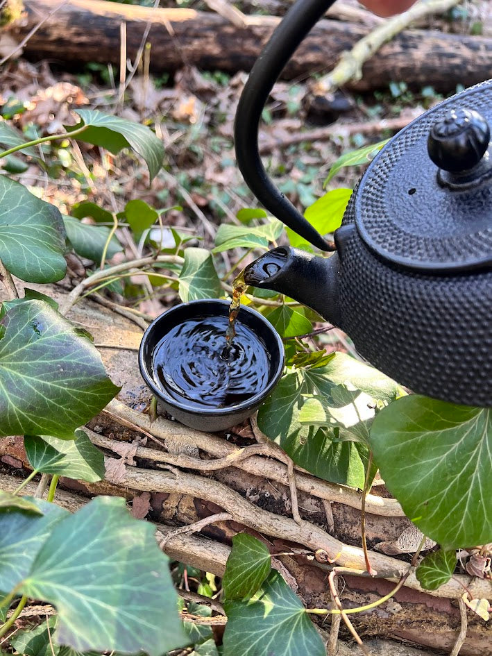 Ceylon Black Tea & Twilight: The Lovers Cup of Strength and Energy