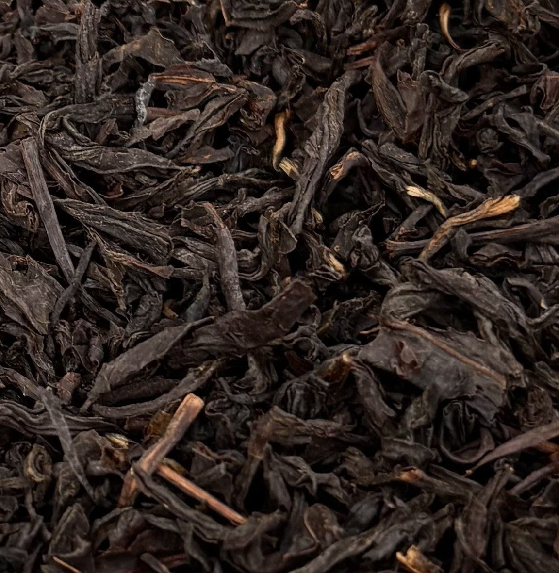 Lapsang Souchong Black Tea: A Witch’s Brew of Forest Smoke