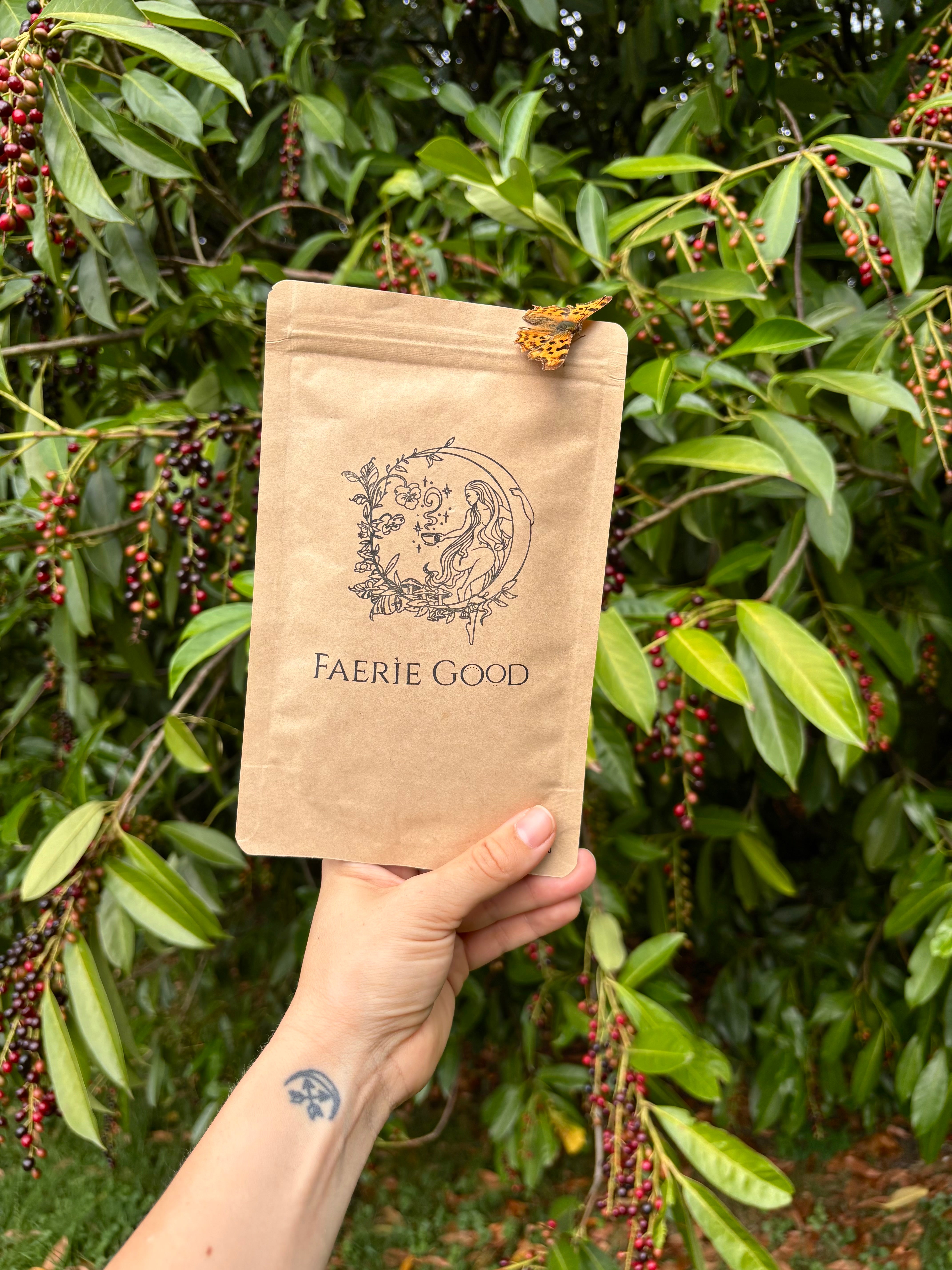 Boîte à mystère - Coffret Tisane ou Thé