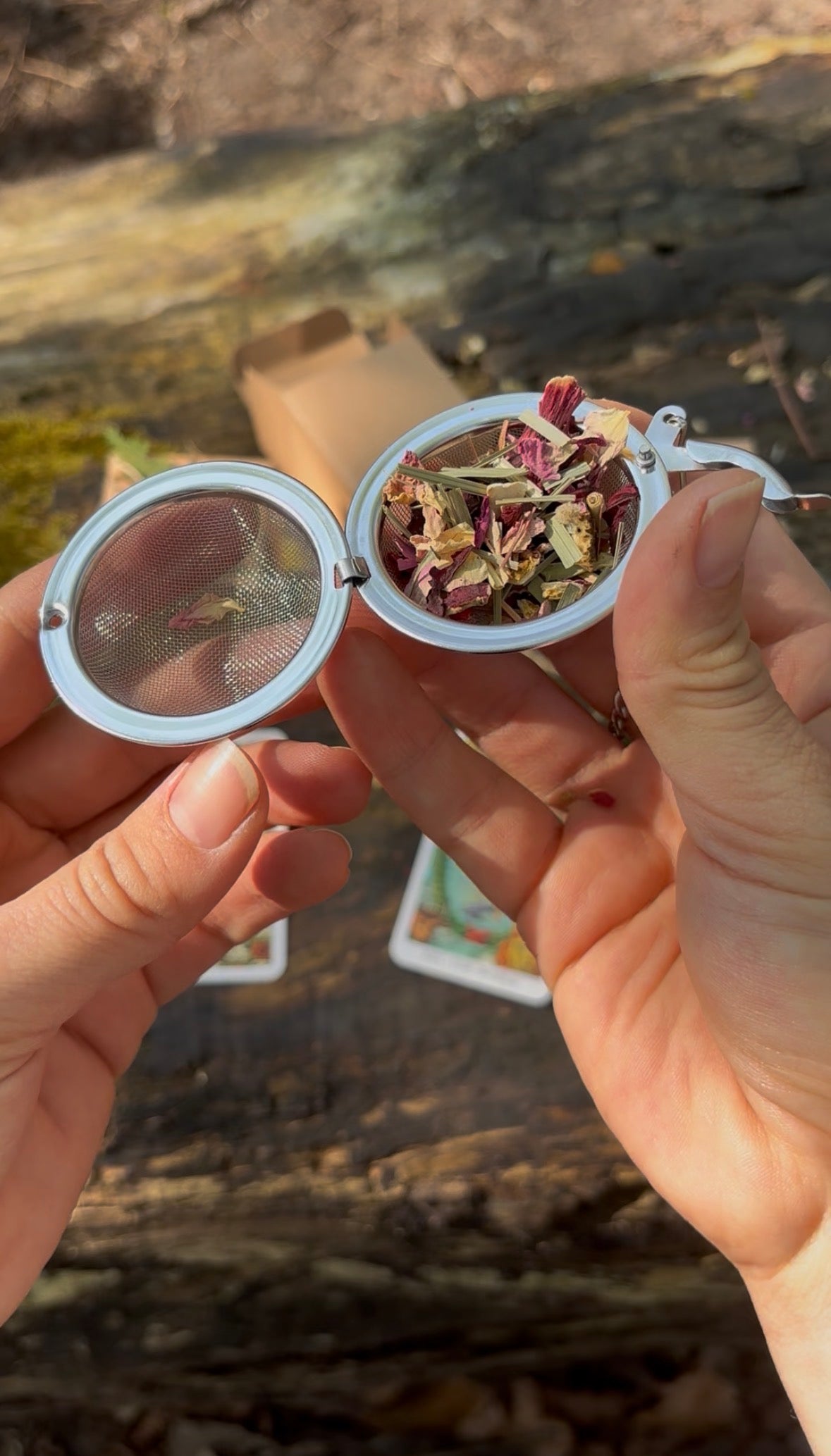 Boule à thé | Infuseur à feuilles en vrac en acier inoxydable