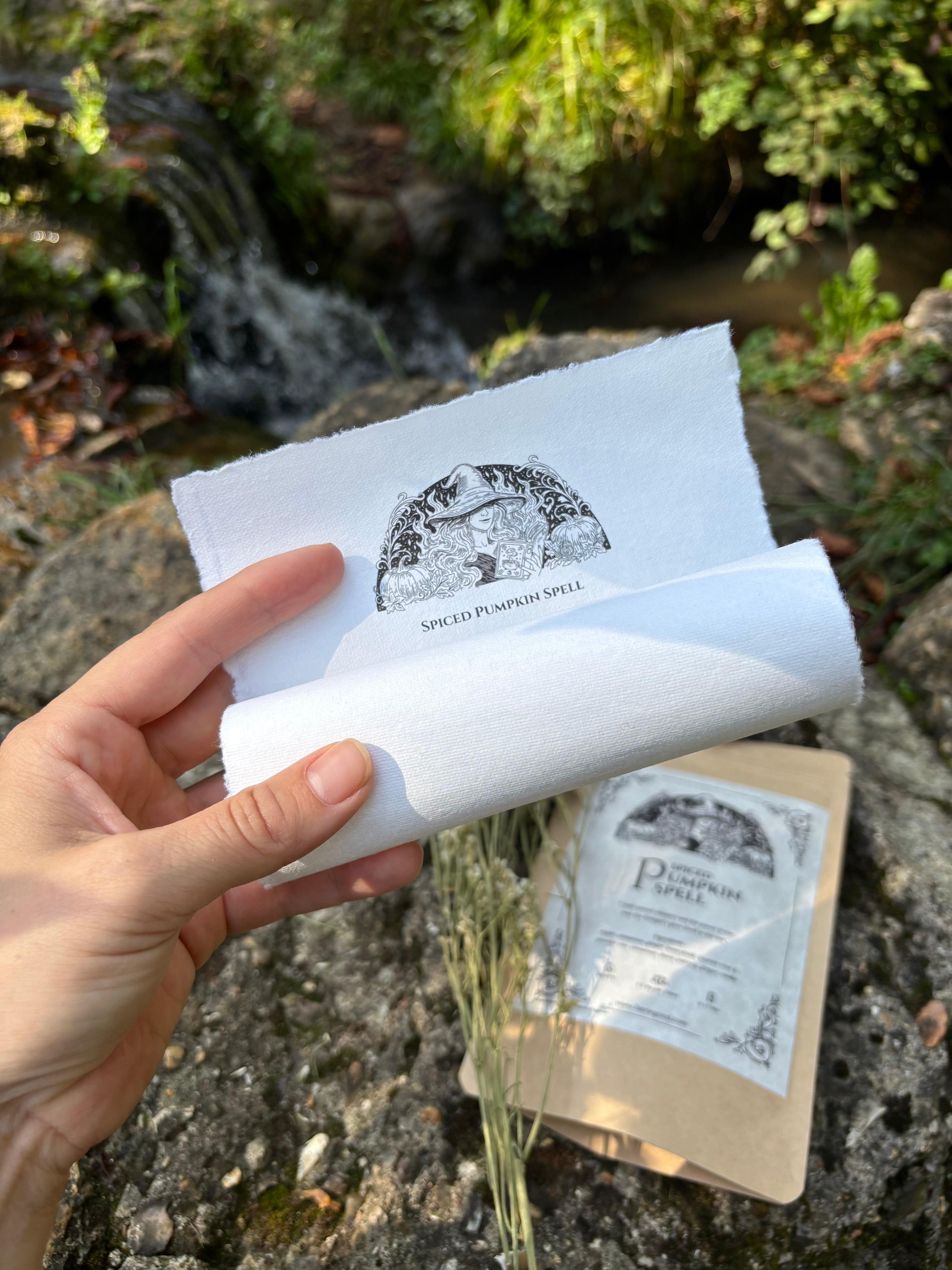 Coffret de Infusion, Sucre et Épices d'Octobre - Spiced Pumpkin Spell 