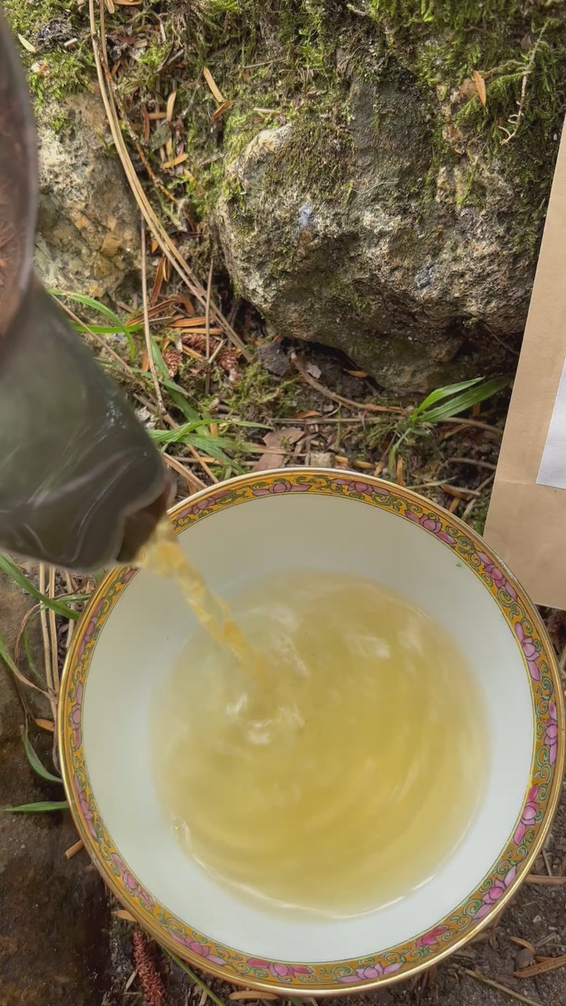 Jasmine Green tea being poured into a cup on the forest floor  - faerie good tea 